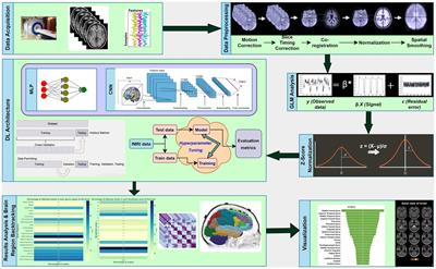 Detection of brain regions responsible for chronic pain in osteoarthritis: an fMRI-based neuroimaging study using deep learning